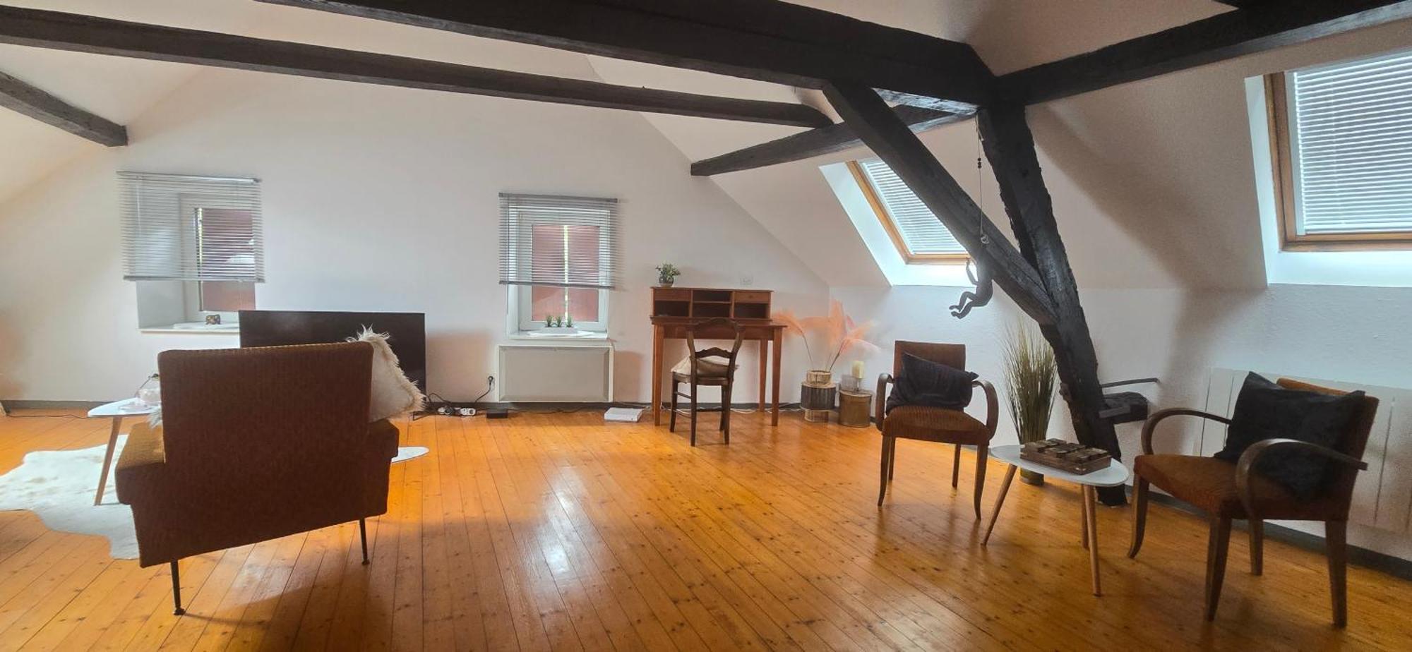 Loft Gaia Appartement Brunstatt-Didenheim Buitenkant foto